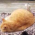 Mary Ann Pinney - @pinneymaryann - Instagram
