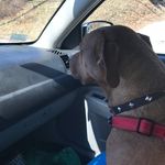 🐾🎾Shelby Anne Pinney🎾🐾 - @shelbyannepinney - Instagram