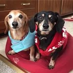 Ann Plaza - @annplaza - Instagram