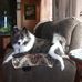 Ann Pletcher - Facebook