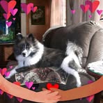 Ann Pletcher - Facebook