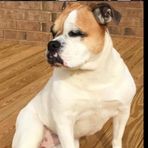 Ann Poitras - Facebook