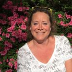 Ann Postlewaite - @annpostlewaite - Instagram