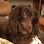 Jo Ann Postle - @joann62 - Instagram