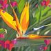 Ann Powers - Facebook