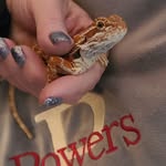 Ann Powers - @annpowers321 - Instagram