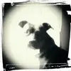Rachael Ann Purnell - @rachaelannpurnell - TikTok
