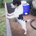 Ann Raabe - Facebook