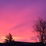 Ann Radford - @aeradford - Instagram