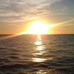 Ann Ralston - @ralston.ann - Instagram