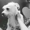 Ann Ramírez - @ani.897 - TikTok