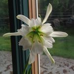 Ann Randall - @rocketmom168 - Instagram