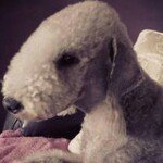 Ann Randall - @annrandall123 - Instagram