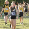 randall - @randall.ann1 - TikTok