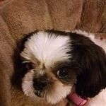 Ann Rector - @2345jerri - Instagram