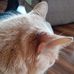 Ann Reeves - Facebook