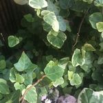 Ann Regan - @ann.regan.395 - Instagram
