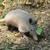 Ann Reyes - @ann.reyes25 - TikTok