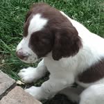 Ann Rhiness - @annrhiness - Instagram