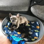 Ann Robertson - @ann.robertson.3958 - Instagram