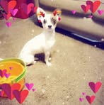Ann Robledo - Facebook