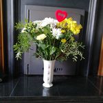 Ann Roche - @annroche3 - Instagram