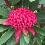 Ann Rolfe - Facebook