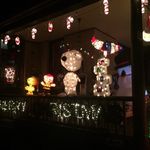 Ann Rooney - @rooney6450 - Instagram