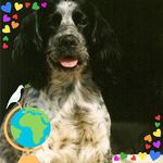 Ann Rooney - @ann.rooney.3382 - Instagram