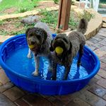Ann Fortner Rosenthal - @arosen466 - Instagram