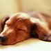 Ann Rosenthal - Facebook
