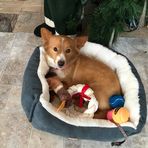 Anna Saunders Rumrill - Facebook