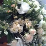 Ann Rust - @nipomoflowers - Instagram