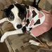 Lori Ann Rutkowski - Facebook