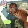 Ann Rutter20 - @annrutter20 - TikTok