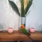 Ann Rutter - @annrutter03 - Instagram