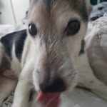 Ann Rutter Garside - @rutter_love - Instagram