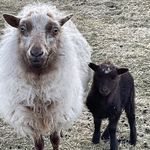 Ann salter - @annieskye16 - Instagram