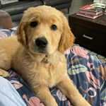 Ann Salter - @annsalter57 - Instagram