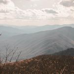 Lee Ann Salyers - @weezes7 - Instagram