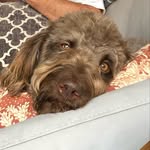 Ann Sargent - @annsargent51 - Instagram