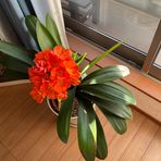 Ann SaTo - Facebook