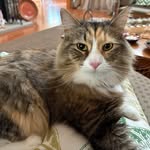 Ann Blair Schmidt - @annschmidt7215 - Instagram
