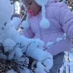 Ann Schmidt - @ann_schmidt12 - Instagram