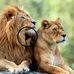Ann Schmidt - Facebook
