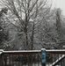 Ann Schwartz - Facebook