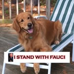 Mary Ann Sealy Libertucci - @maryannlibertucci - Instagram