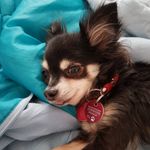 Ann - Christin Seitz - @annchristinseitz - Instagram