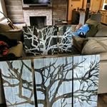 Ann Shaffer - @ladyfromanother - Instagram