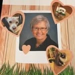 Ann Shaffer - @annshaffer306 - Instagram